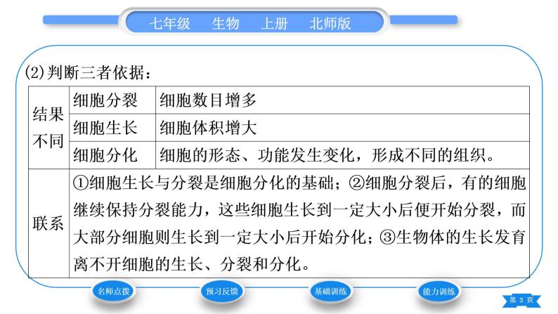 北师大版七年级生物上第2单元生物体的结构第4章生物体的结构层次第1节细胞分化形成组织习题课件03