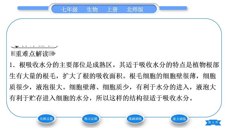 北师大版七年级生物上第3单元生物圈中的绿色植物第5章绿色开花植物的生活方式第3节吸收作用习题课件第2页