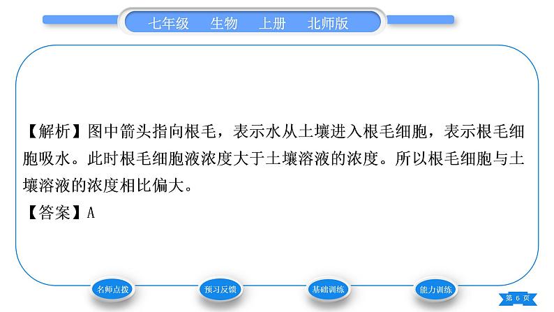 北师大版七年级生物上第3单元生物圈中的绿色植物第5章绿色开花植物的生活方式第3节吸收作用习题课件第6页