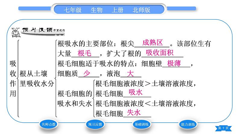 北师大版七年级生物上第3单元生物圈中的绿色植物第5章绿色开花植物的生活方式第3节吸收作用习题课件第7页