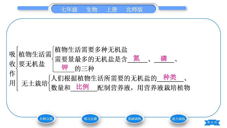 北师大版七年级生物上第3单元生物圈中的绿色植物第5章绿色开花植物的生活方式第3节吸收作用习题课件第8页