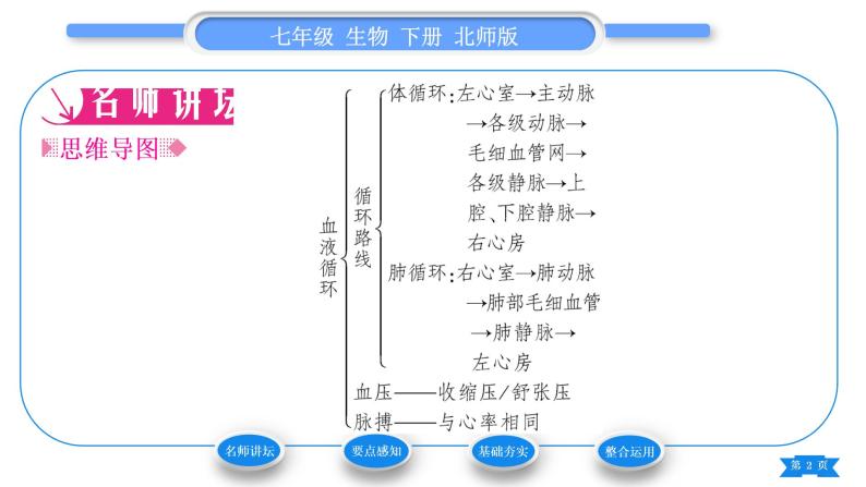 北师大版七年级生物下第4单元生物圈中的人第9章人体内的物质运输第2节血液循环第2课时血液循环习题课件02