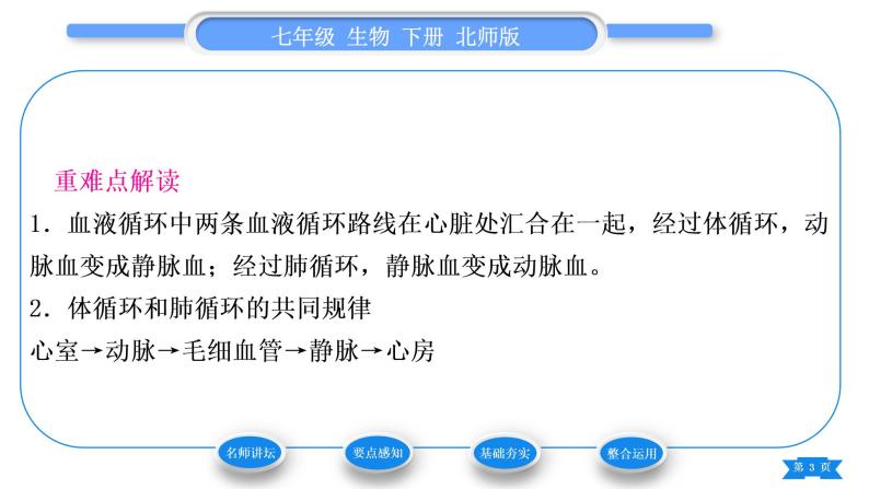 北师大版七年级生物下第4单元生物圈中的人第9章人体内的物质运输第2节血液循环第2课时血液循环习题课件03