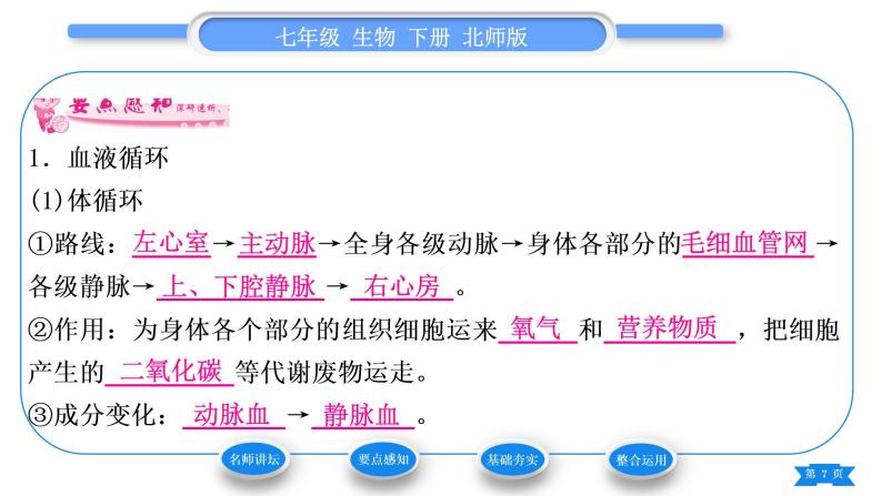 北师大版七年级生物下第4单元生物圈中的人第9章人体内的物质运输第2节血液循环第2课时血液循环习题课件07