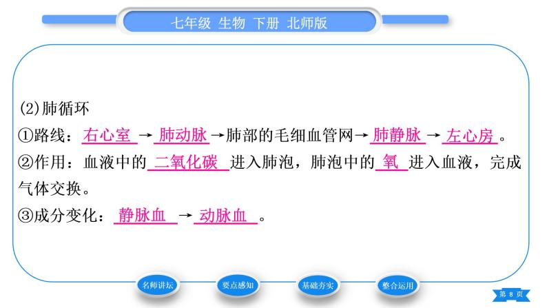 北师大版七年级生物下第4单元生物圈中的人第9章人体内的物质运输第2节血液循环第2课时血液循环习题课件08