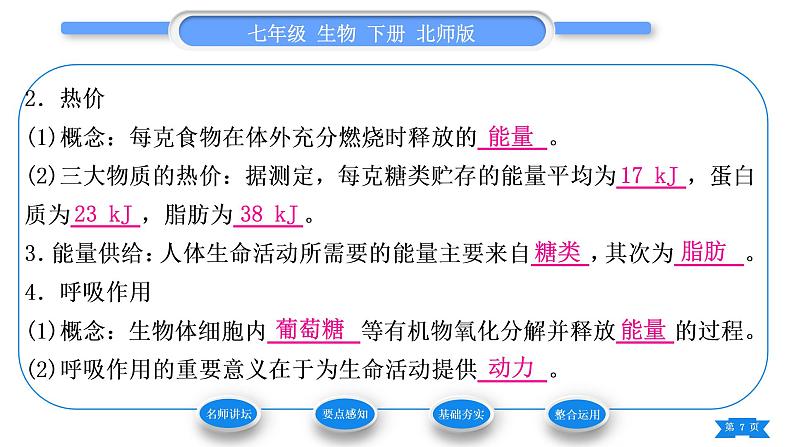 北师大版七年级生物下第4单元生物圈中的人第10章人体的能量供应第1节食物中能量的释放习题课件第7页
