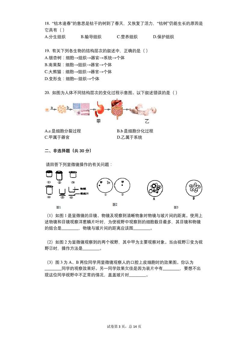 河南省洛阳市偃师市2021-2022学年七年级上学期期中生物试卷03