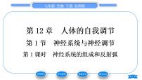 初中生物北師大版七年級(jí)下冊(cè)第1節(jié)  神經(jīng)系統(tǒng)與神經(jīng)調(diào)節(jié)習(xí)題ppt課件