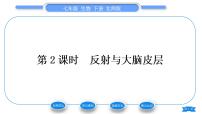 北師大版七年級(jí)下冊(cè)第1節(jié)  神經(jīng)系統(tǒng)與神經(jīng)調(diào)節(jié)習(xí)題課件ppt