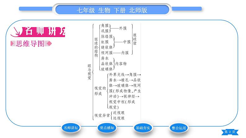 北师大版七年级生物下第4单元生物圈中的人第12章人体的自我调节第2节感受器和感觉器官第1课时眼与视觉习题课件02