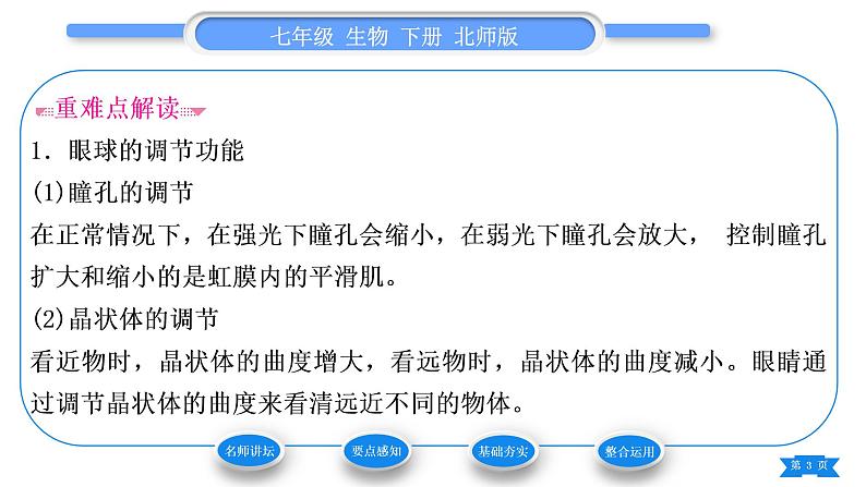 北师大版七年级生物下第4单元生物圈中的人第12章人体的自我调节第2节感受器和感觉器官第1课时眼与视觉习题课件03