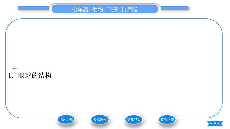 北师大版七年级生物下第4单元生物圈中的人第12章人体的自我调节第2节感受器和感觉器官第1课时眼与视觉习题课件06