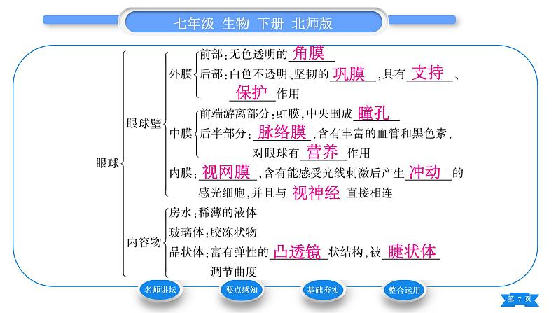 北师大版七年级生物下第4单元生物圈中的人第12章人体的自我调节第2节感受器和感觉器官第1课时眼与视觉习题课件07