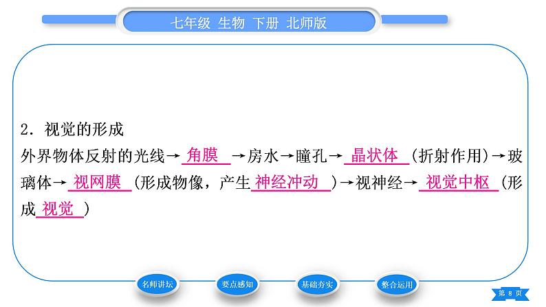 北师大版七年级生物下第4单元生物圈中的人第12章人体的自我调节第2节感受器和感觉器官第1课时眼与视觉习题课件08