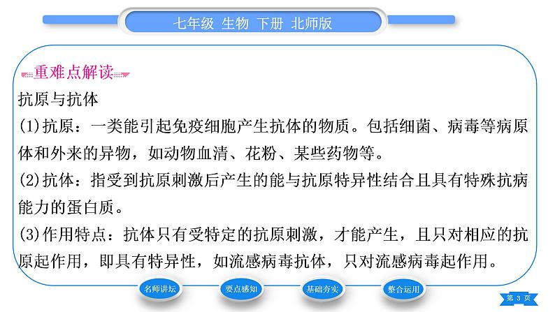 北师大版七年级生物下第4单元生物圈中的人第13章健康地生活第3节人体免疫习题课件第3页