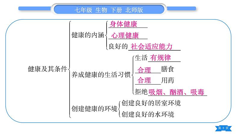 北师大版七年级生物下第4单元生物圈中的人13、14章复习与提升习题课件第3页