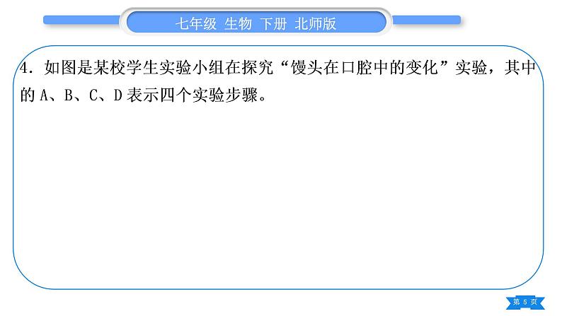 北师大版七年级生物下第4单元生物圈中的人专题六实验探究题习题课件第5页