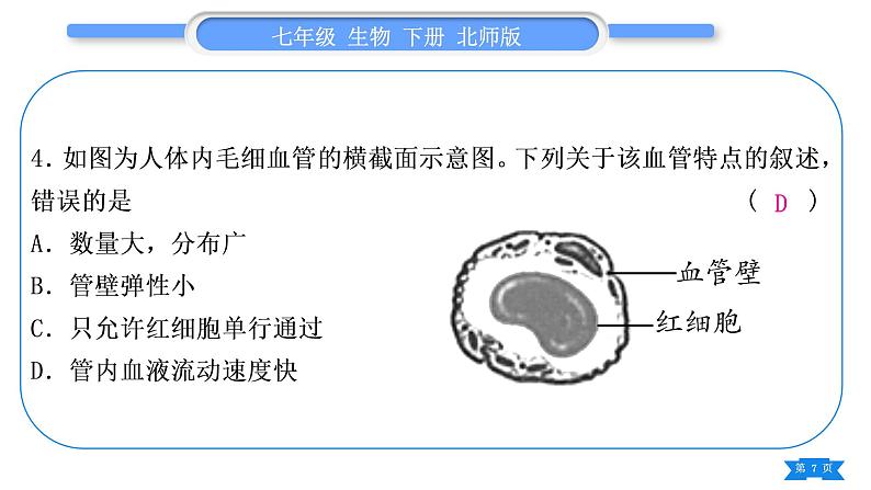 北师大版七年级生物下第4单元生物圈中的人专题五读图综合题习题课件第7页