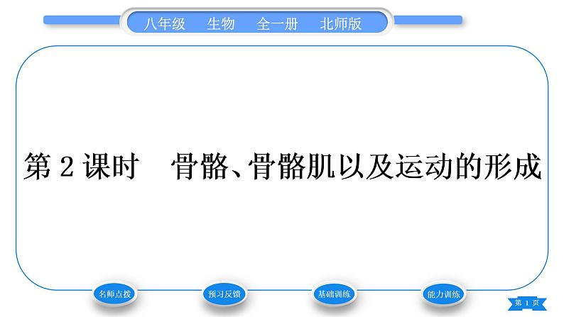北师大版八年级生物上第5单元生物圈中的动物和微生物第15章动物的运动第2节动物运动的形成第2课时骨骼、骨骼肌以及运动的形成习题课件第1页