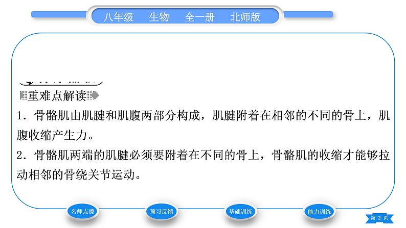 北师大版八年级生物上第5单元生物圈中的动物和微生物第15章动物的运动第2节动物运动的形成第2课时骨骼、骨骼肌以及运动的形成习题课件第2页