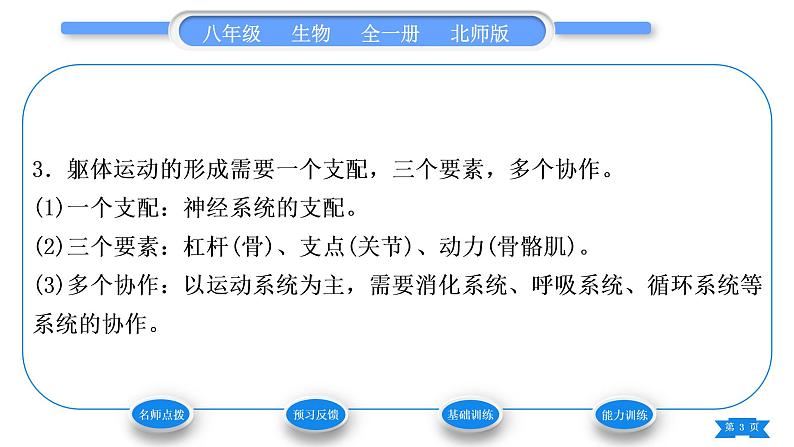 北师大版八年级生物上第5单元生物圈中的动物和微生物第15章动物的运动第2节动物运动的形成第2课时骨骼、骨骼肌以及运动的形成习题课件第3页