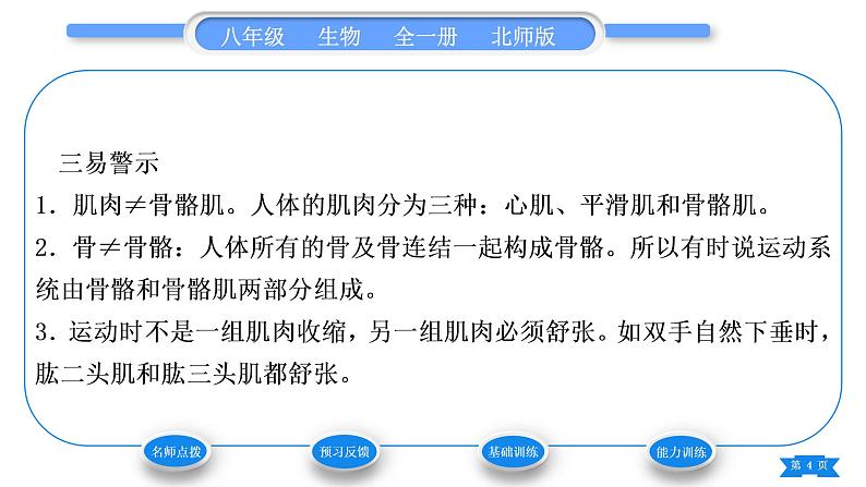 北师大版八年级生物上第5单元生物圈中的动物和微生物第15章动物的运动第2节动物运动的形成第2课时骨骼、骨骼肌以及运动的形成习题课件第4页
