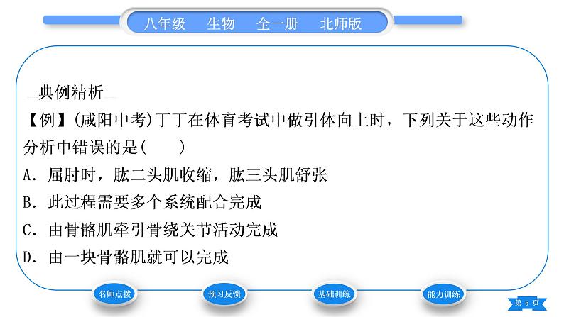 北师大版八年级生物上第5单元生物圈中的动物和微生物第15章动物的运动第2节动物运动的形成第2课时骨骼、骨骼肌以及运动的形成习题课件第5页