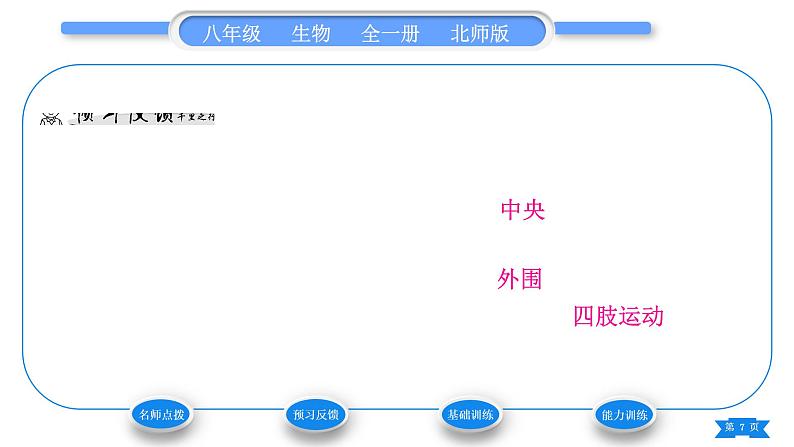 北师大版八年级生物上第5单元生物圈中的动物和微生物第15章动物的运动第2节动物运动的形成第2课时骨骼、骨骼肌以及运动的形成习题课件第7页