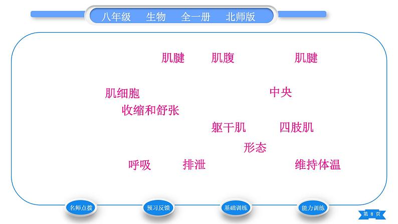 北师大版八年级生物上第5单元生物圈中的动物和微生物第15章动物的运动第2节动物运动的形成第2课时骨骼、骨骼肌以及运动的形成习题课件第8页
