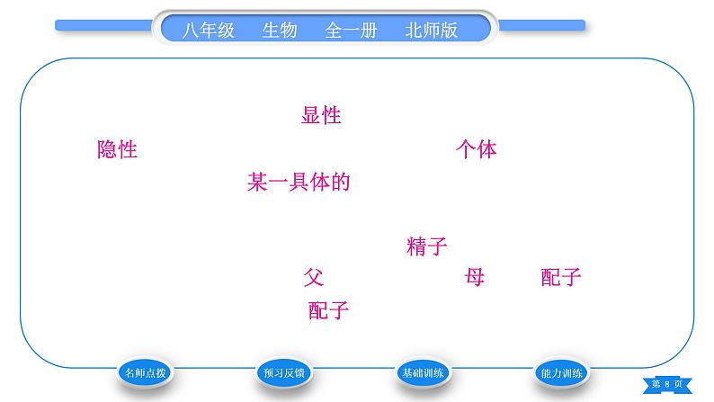 北师大版八年级生物上第6单元生命的延续第20章生物的遗传和变异第3节性状遗传有一定的规律性习题课件08