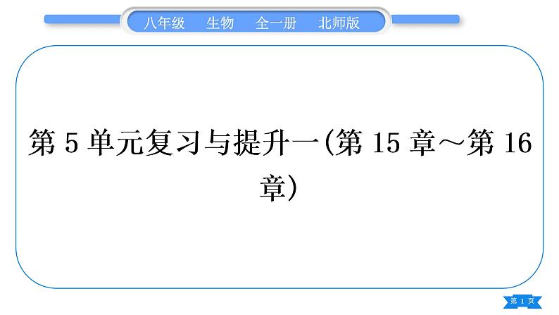 北师大版八年级生物上第5单元生物圈中的动物和微生物复习与提升一(第15章~第16章)习题课件01