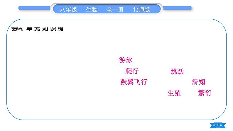 北师大版八年级生物上第5单元生物圈中的动物和微生物复习与提升一(第15章~第16章)习题课件02