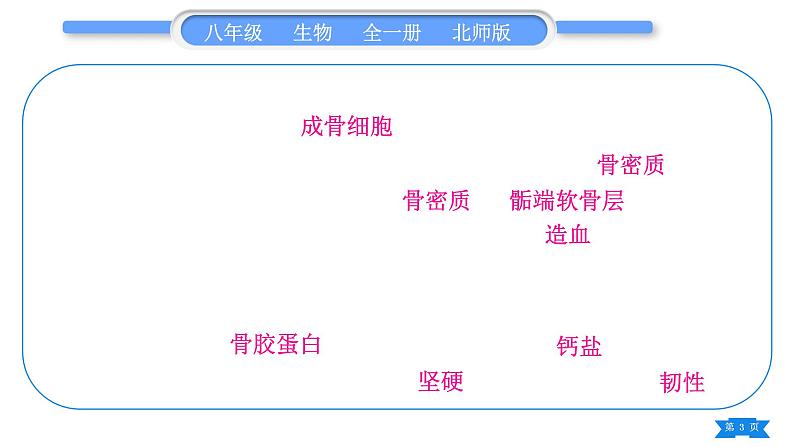 北师大版八年级生物上第5单元生物圈中的动物和微生物复习与提升一(第15章~第16章)习题课件03