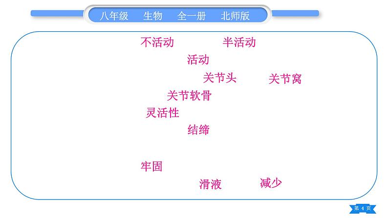 北师大版八年级生物上第5单元生物圈中的动物和微生物复习与提升一(第15章~第16章)习题课件04