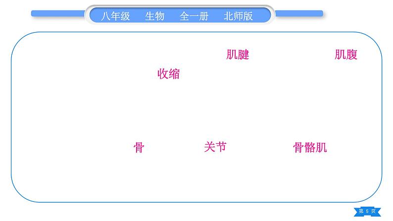 北师大版八年级生物上第5单元生物圈中的动物和微生物复习与提升一(第15章~第16章)习题课件05