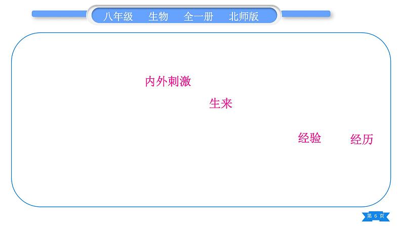 北师大版八年级生物上第5单元生物圈中的动物和微生物复习与提升一(第15章~第16章)习题课件06