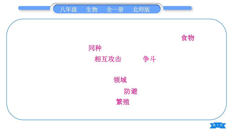 北师大版八年级生物上第5单元生物圈中的动物和微生物复习与提升一(第15章~第16章)习题课件07