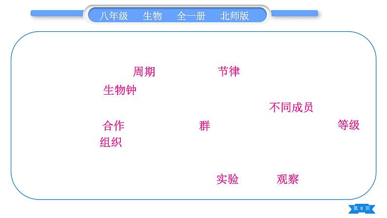 北师大版八年级生物上第5单元生物圈中的动物和微生物复习与提升一(第15章~第16章)习题课件08