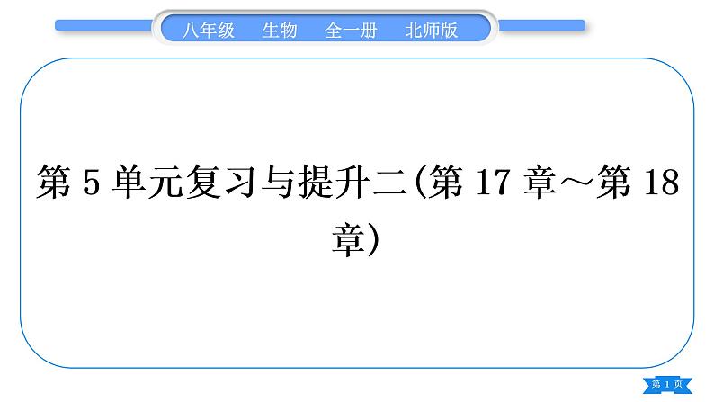 北师大版八年级生物上第5单元生物圈中的动物和微生物复习与提升二(第17章~第18章)习题课件第1页