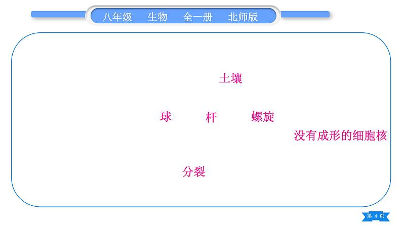 北师大版八年级生物上第5单元生物圈中的动物和微生物复习与提升二(第17章~第18章)习题课件第4页