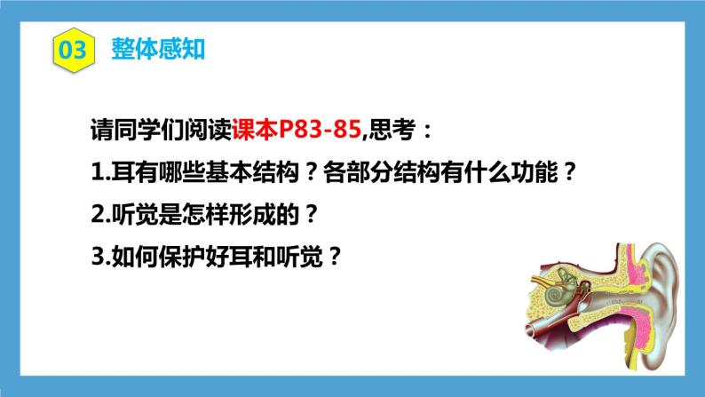 4.6.1《人体对外界环境的感知》第2课时   课件+教案+习题05