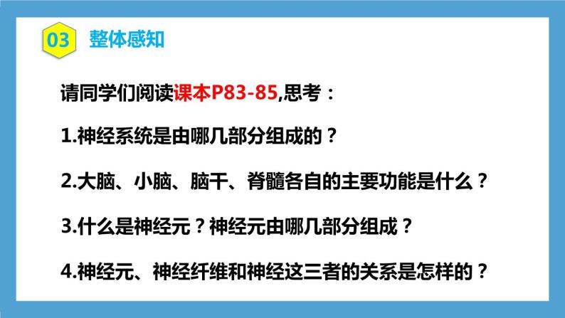 4.6.2《神经系统的组成课件》课件+教案+习题05