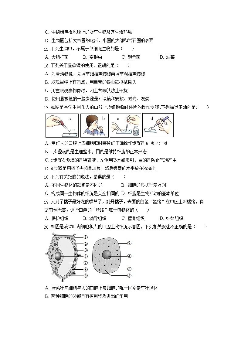 山东省青岛市胶州市2022-2023学年七年级上学期期中生物试卷第3页