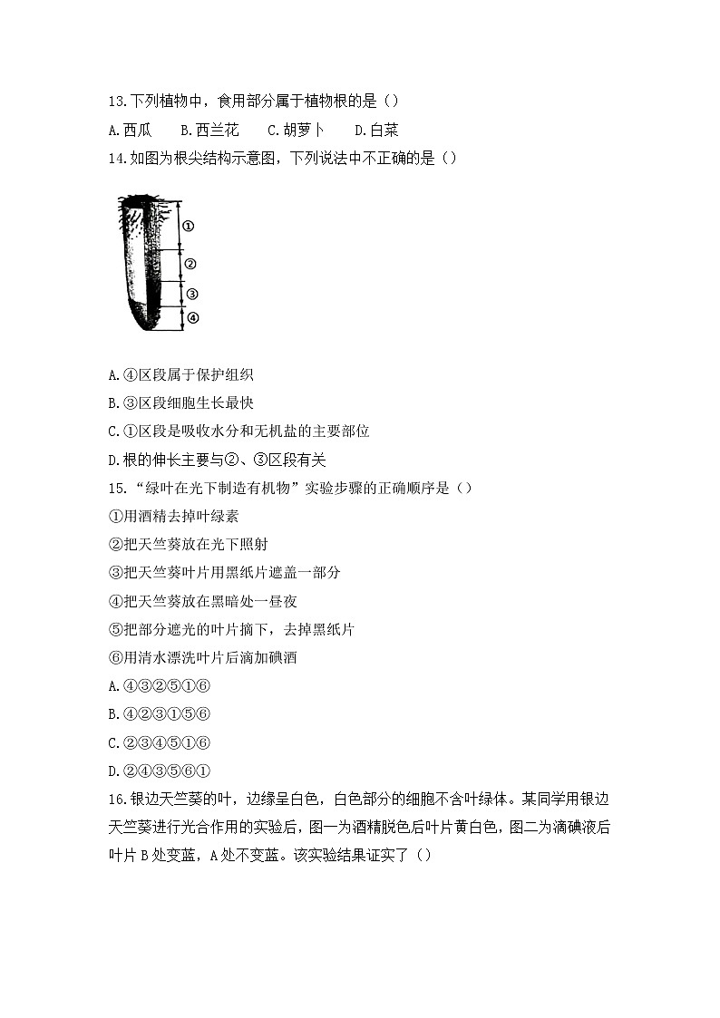 安徽省合肥市包河区2021-2022学年七年级上学期生物期末试题第3页