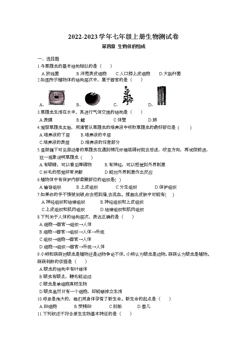 第四章 生物体的组成测试卷 2022-2023学年苏教版生物七年级上册01