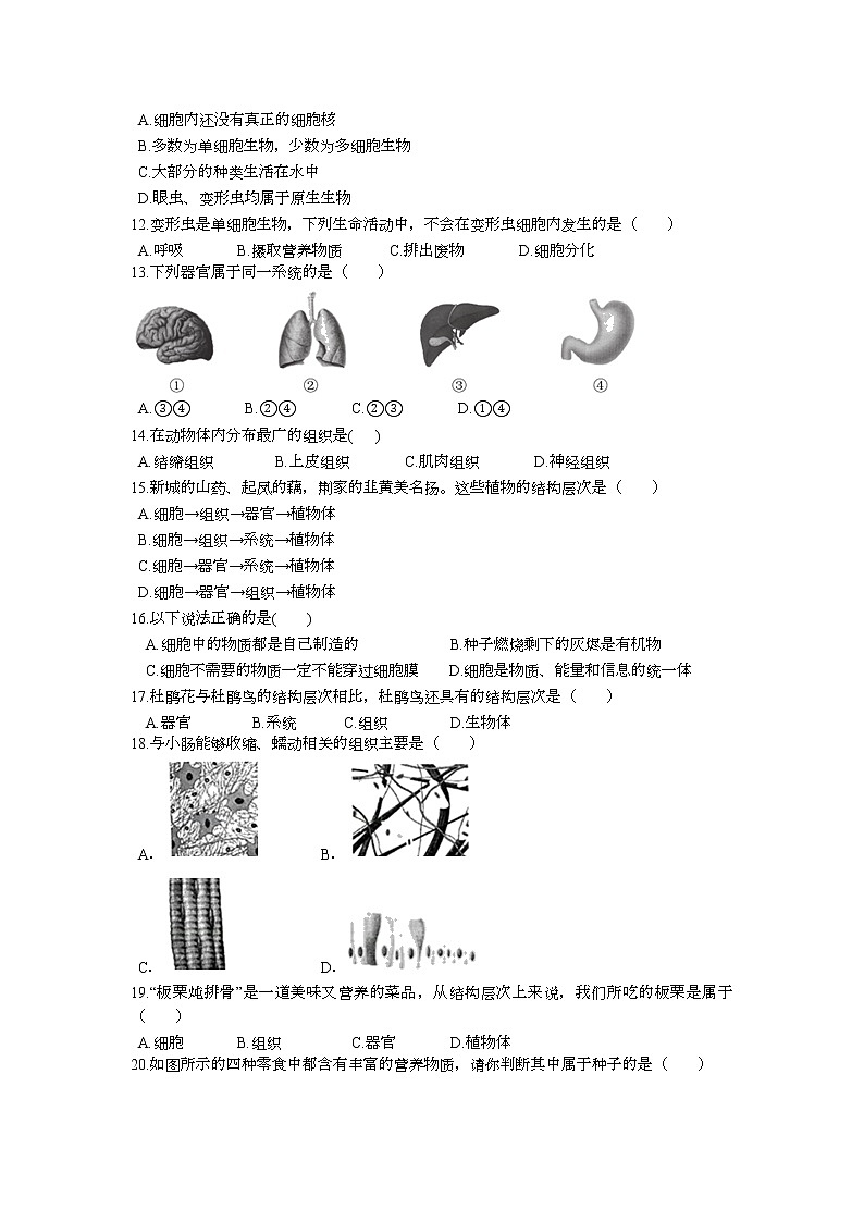 第四章 生物体的组成测试卷 2022-2023学年苏教版生物七年级上册02