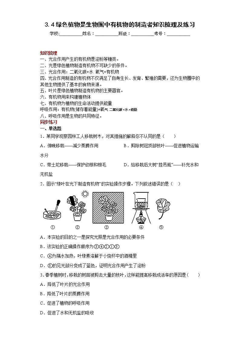 3.4绿色植物是生物圈中有机物的制造者知识梳理及练习2022-2023年人教版生物七年级上册01