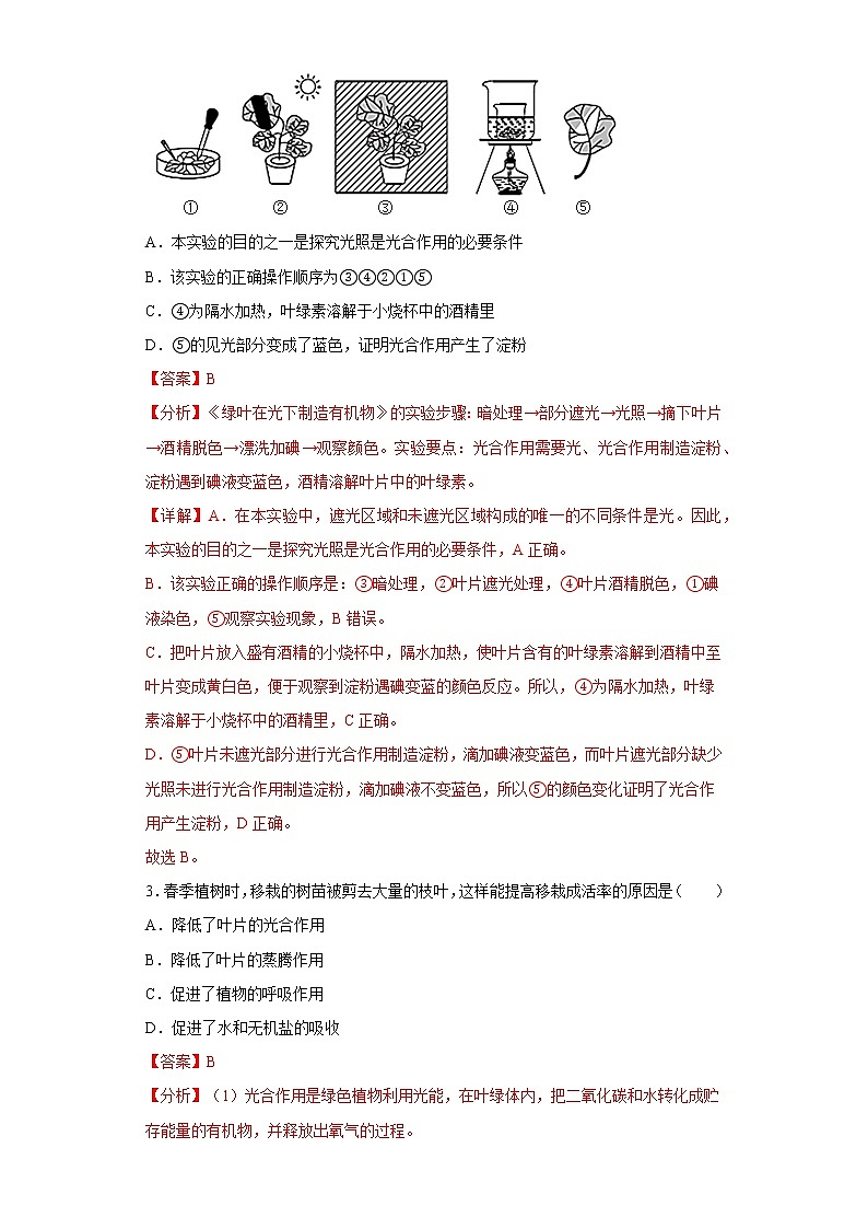 3.4绿色植物是生物圈中有机物的制造者知识梳理及练习2022-2023年人教版生物七年级上册02