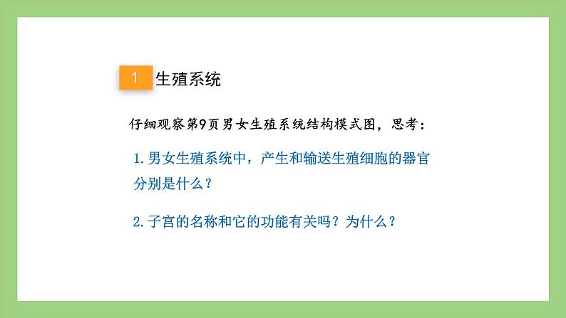 人教版七年级下册生物 4.1.2人的生殖(课件)第5页
