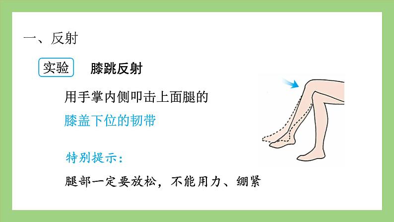 人教版七年级下册生物 4.6.3神经调节的基本方式(课件)03